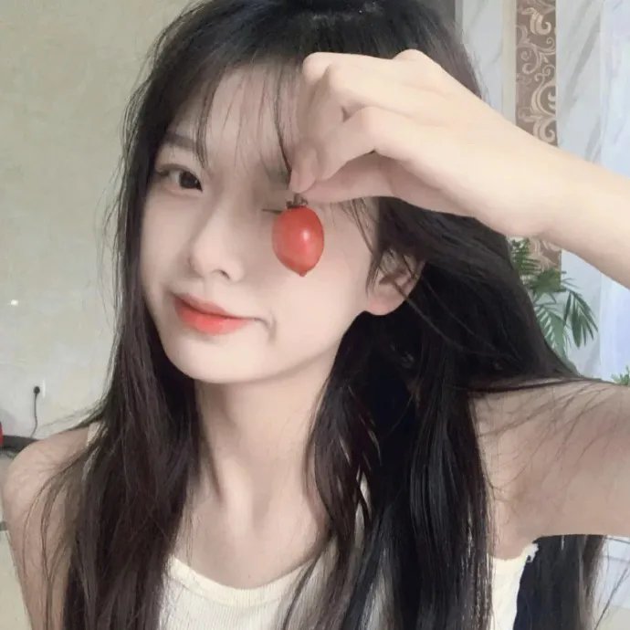 妙探双龙